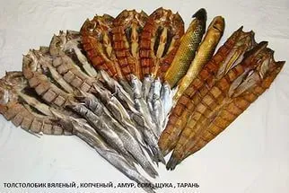 рыба Толстолобик в Тимашевск 4