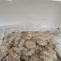 креветка сыромороженые ванамей 50/60  в Краснодаре