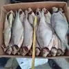 вяленая рыба(тарань, судак,чехонь и т.д) в Краснодаре 5