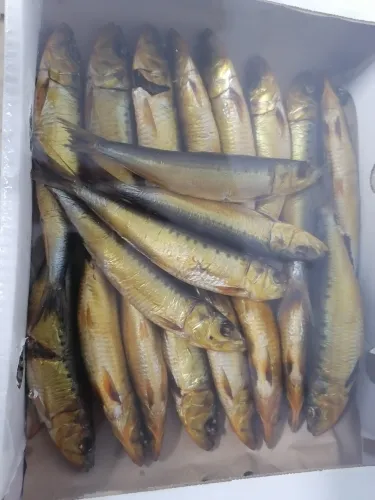 рыба оптом от производителя в Краснодаре и Краснодарском крае 3