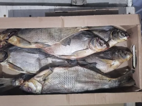 рыба оптом от производителя в Краснодаре и Краснодарском крае 5
