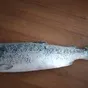 камчатская мороженая рыба опт в Краснодаре и Краснодарском крае