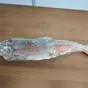 камчатская мороженая рыба опт в Краснодаре и Краснодарском крае 2