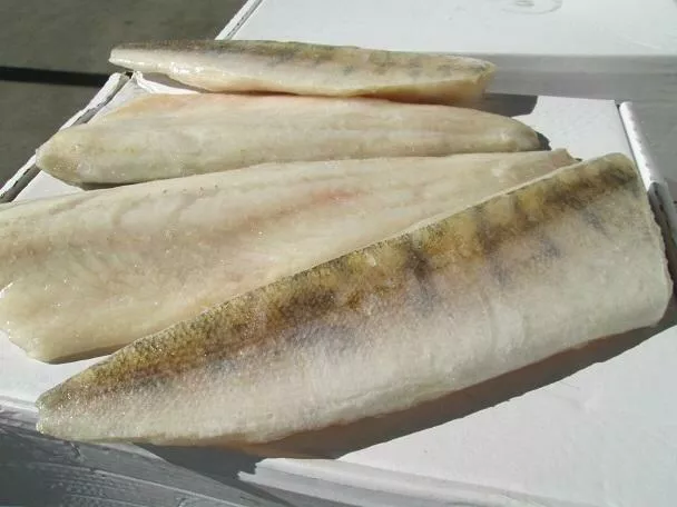 вяленая рыба оптом (тарань судак и др) в Краснодаре и Краснодарском крае