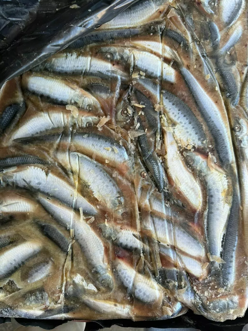 Фотография продукта Рыба опт: минтай, горбуша, кета, треска